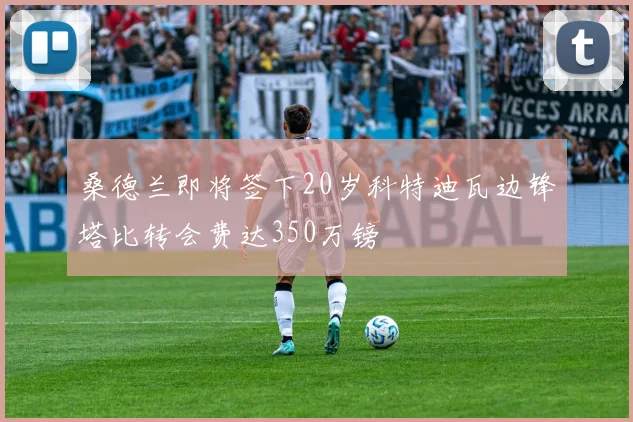 桑德兰即将签下20岁科特迪瓦边锋塔比转会费达350万镑